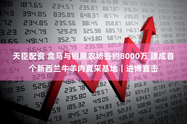 天臣配资 盒马与银蕨农场签约8000万 建成首个新西兰牛羊肉直采基地｜进博直击