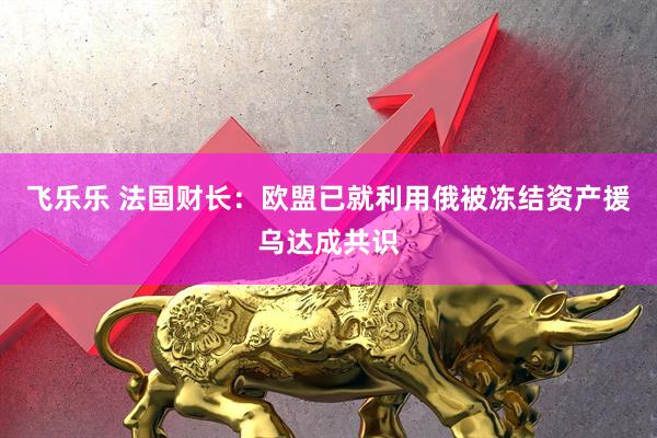 飞乐乐 法国财长：欧盟已就利用俄被冻结资产援乌达成共识