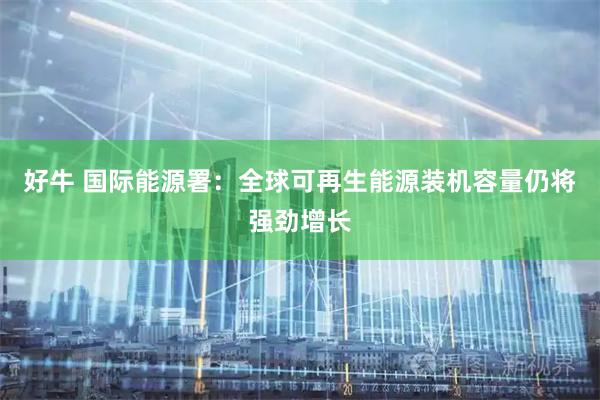好牛 国际能源署：全球可再生能源装机容量仍将强劲增长