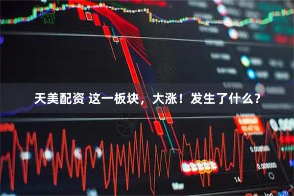 天美配资 这一板块，大涨！发生了什么？
