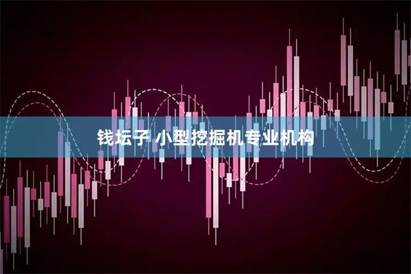 钱坛子 小型挖掘机专业机构