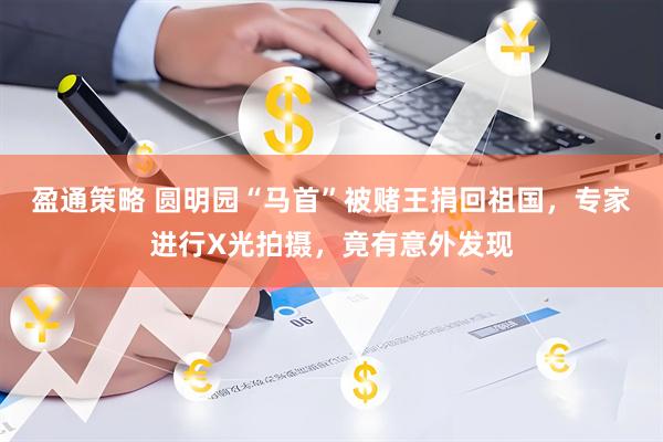 盈通策略 圆明园“马首”被赌王捐回祖国，专家进行X光拍摄，竟有意外发现