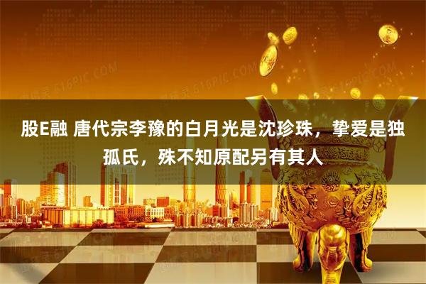 股E融 唐代宗李豫的白月光是沈珍珠，挚爱是独孤氏，殊不知原配另有其人