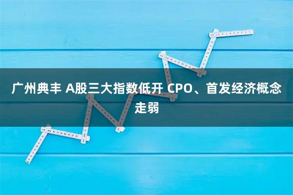 广州典丰 A股三大指数低开 CPO、首发经济概念走弱