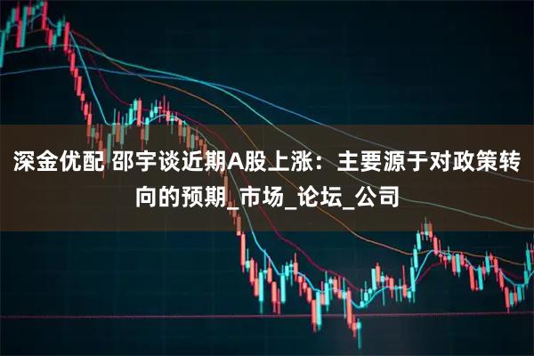 深金优配 邵宇谈近期A股上涨：主要源于对政策转向的预期_市场_论坛_公司