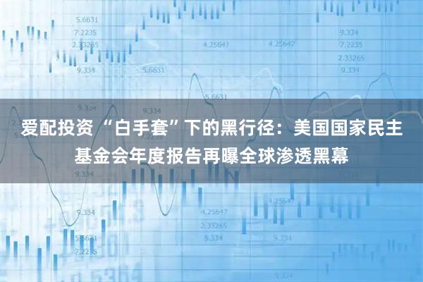 爱配投资 “白手套”下的黑行径：美国国家民主基金会年度报告再曝全球渗透黑幕